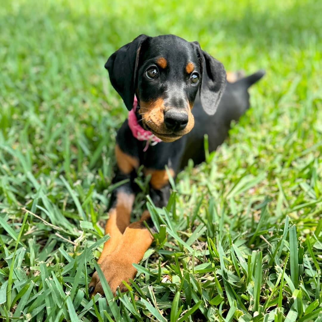 Gallery image 2 of Lloyd