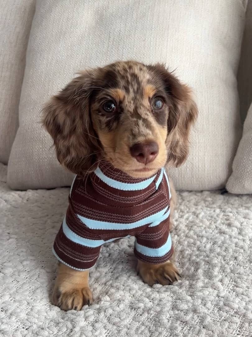 Gallery image 2 of Luna