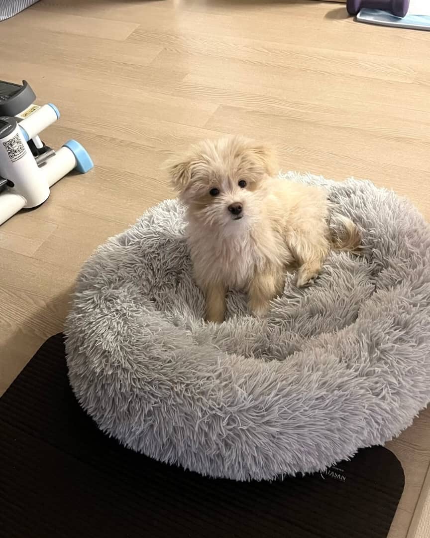 Gallery image 3 of Max