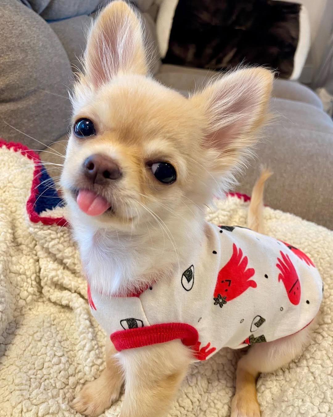 Gallery image 1 of Leo