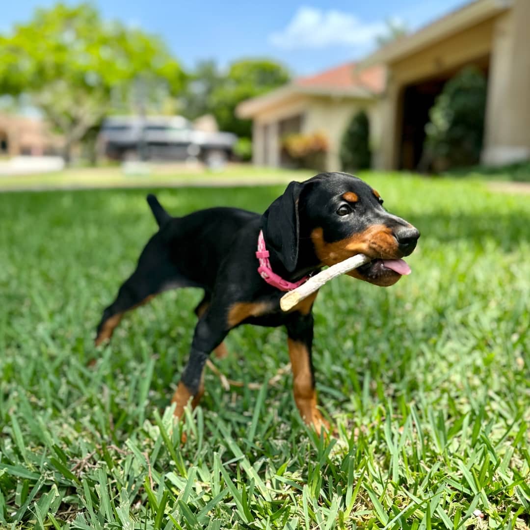 Gallery image 4 of Lloyd