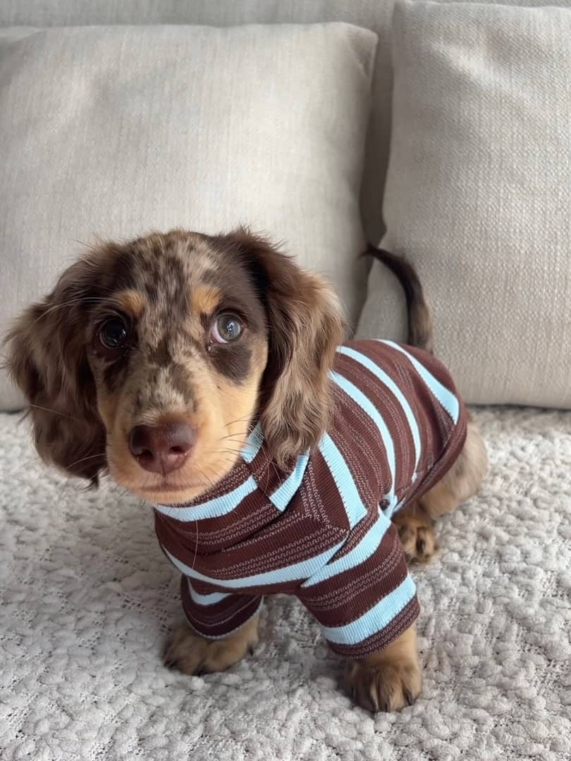 Gallery image 3 of Luna