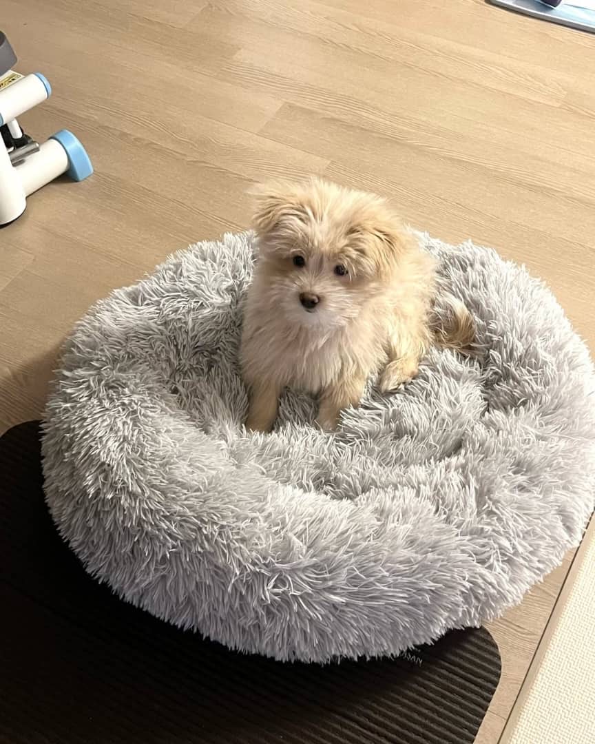 Gallery image 4 of Max